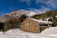 Cabañas En asturias Kvdd Flores Y Paisajes De asturias Puertos De AgÃ Eria Nieve De OtoÃ O