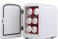 Mini Nevera Portatil Zwdg Mini Nevera PortÃ Til Refrigerador Calentador Calienta 4l Aut