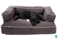 Sofa Perro H9d9 Lex Max sofa Para Perros Royale Grande