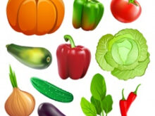 Vegetables Tqd3 Ve Ables Vectors Photos and Psd Files Free